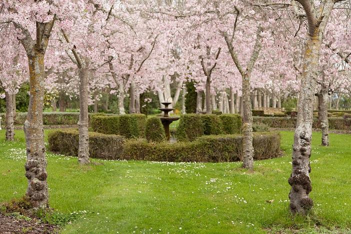 Highden Manor Estate 호텔 파머스턴노스 외부 사진